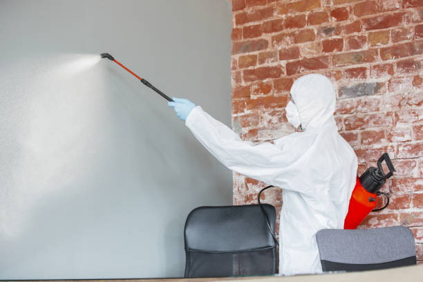 Best Commercial Mold Inspection  in Monmouth Junction, NJ