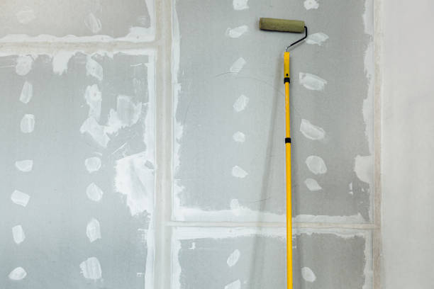 Mold Remediation for Rental Properties in Monmouth Junction, NJ