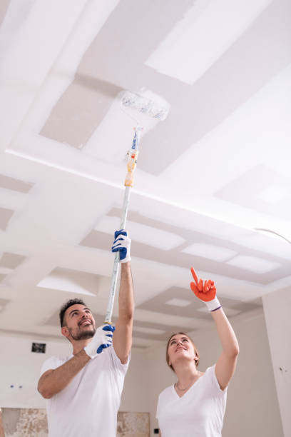 Monmouth Junction, NJ Mold Removal Company