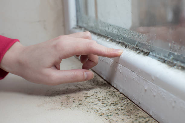 Best Real Estate Mold Inspection  in Monmouth Junction, NJ